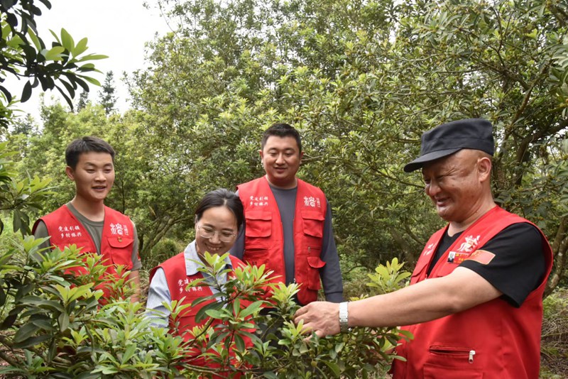 高文村駐村干部正在檢查楊梅生長情況。貴州磷化集團供圖