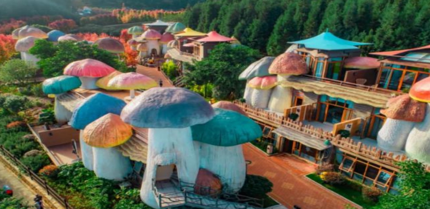 醇景區蘑菇酒店。