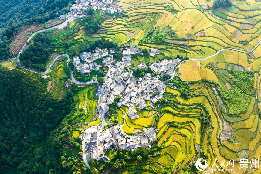 航拍貴陽市花溪區高坡苗族鄉梯田。人民網記者 涂敏攝