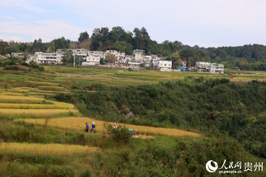 貴州龍里“豐”景如畫。人民網 潘佳倩攝