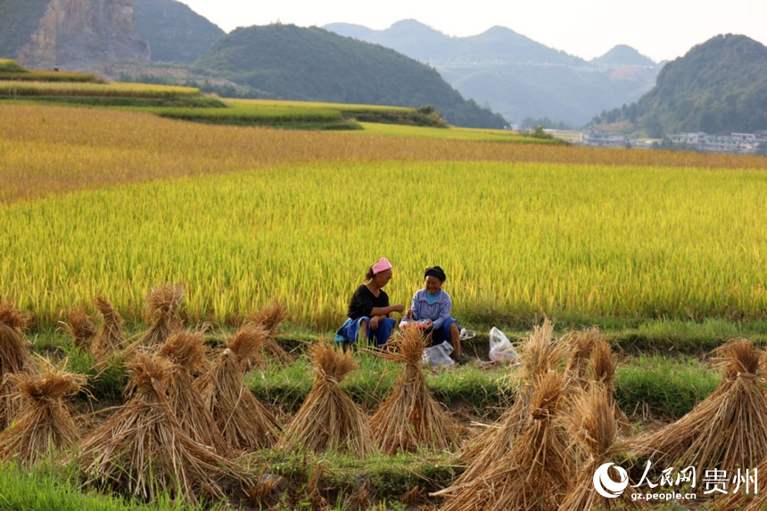 休息間隙，村民吃著西瓜與鄰里交談。人民網 潘佳倩攝