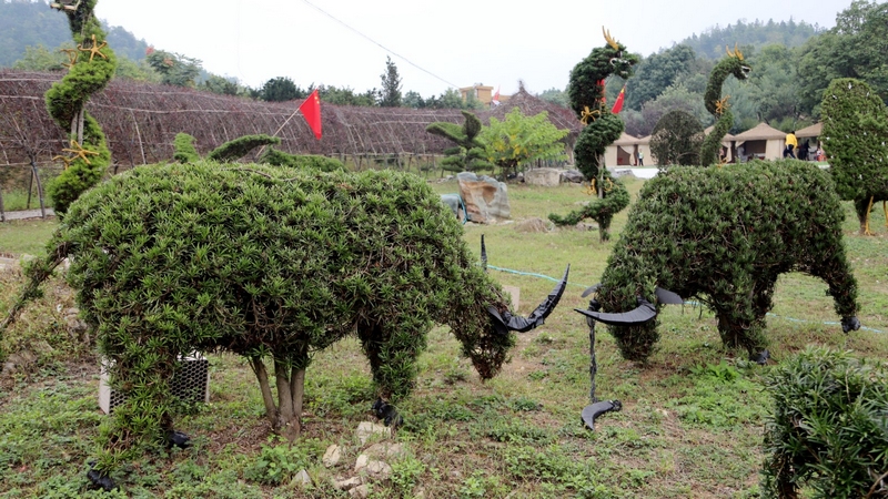 梨花湖畔的李峰農家樂 姜繼恒 攝