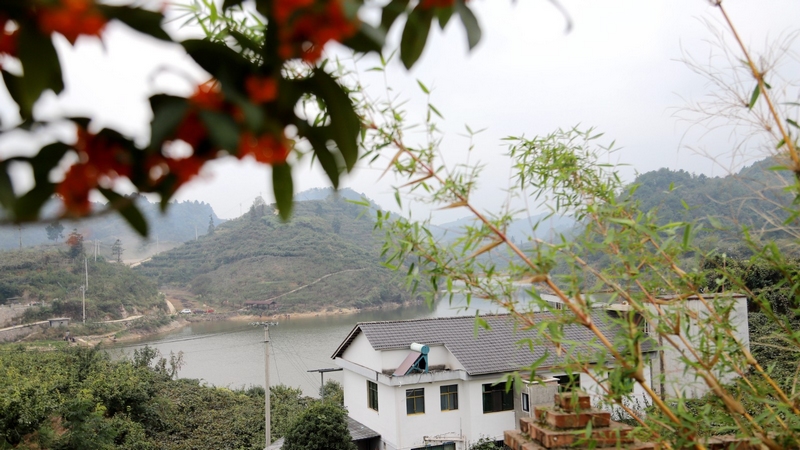 谷堡鎮 姜繼恒 攝