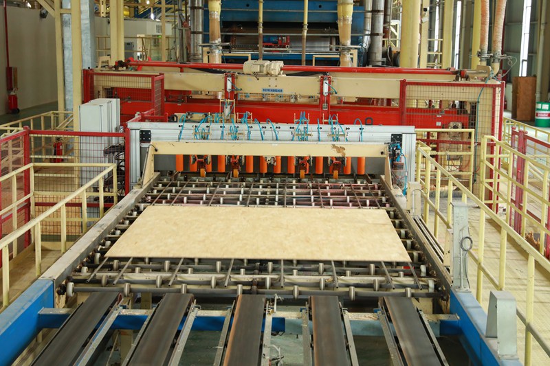 貴州省劍河縣天生祥木材智能制造有限公司。楊家孟攝3