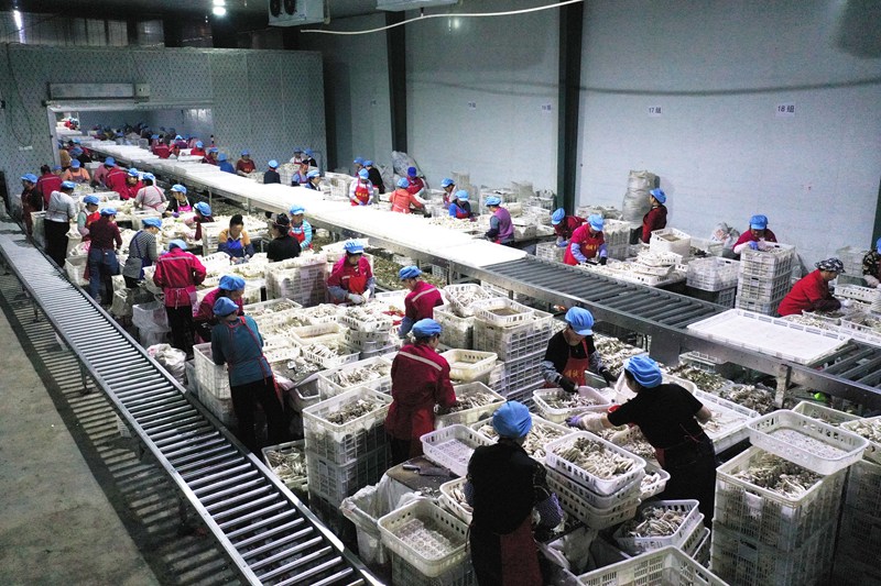 工人在劍河縣食用菌產業園內的貴州順誠生物科技有限公司車間作業。楊家孟攝