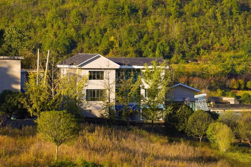 永樂鄉的秋天，你不能錯過的絕美風光。