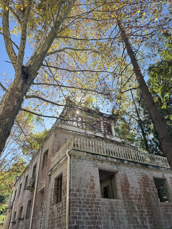 永樂鄉的秋天，你不能錯過的絕美風光。