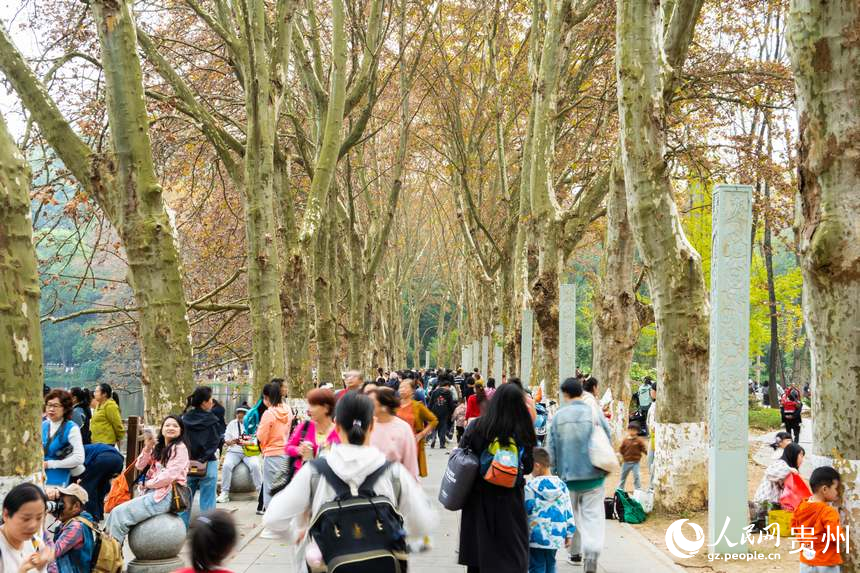 金黃色的梧桐樹矗立在河道兩岸。人民網 陽茜攝