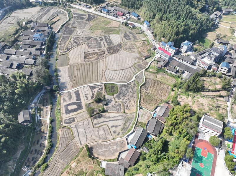 地湖村航拍圖。