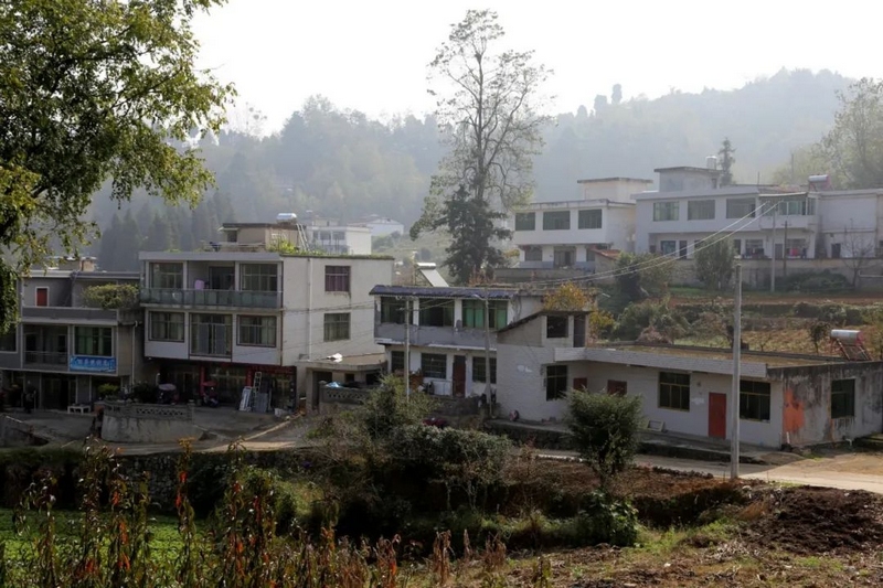 修文縣龍場街道沙溪村 修文縣融媒體中心吳竹彧 攝