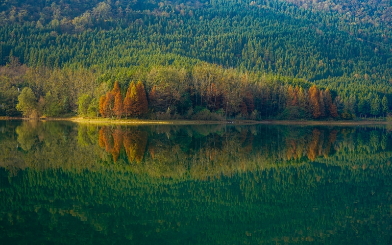 11月17日拍攝的貴州省六盤水市明湖國家濕地公園瑤池一角(1)(趙樺 攝)