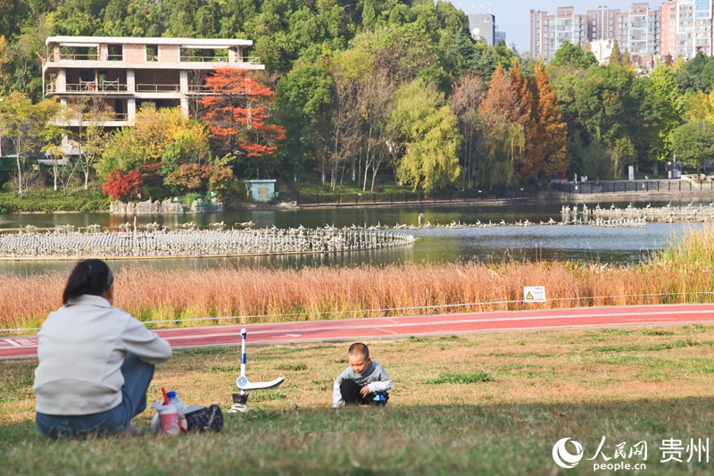 貴陽市白云區泉湖公園一角。人民網 龍章榆攝