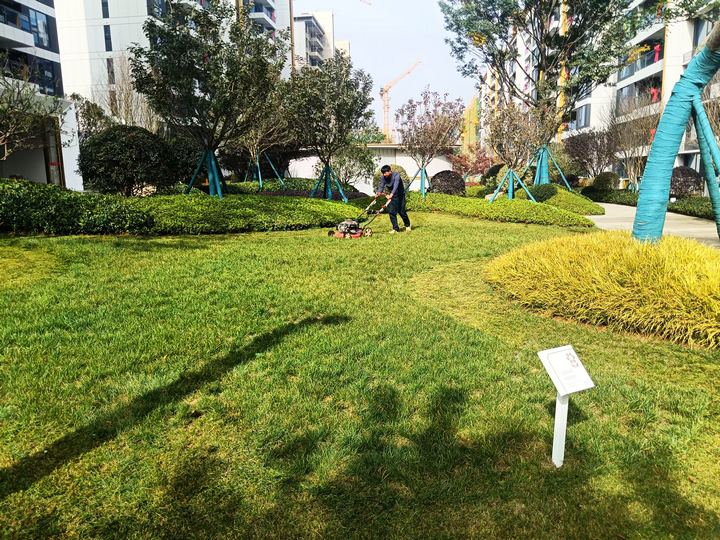 居民住宅小區綠化環境優美。