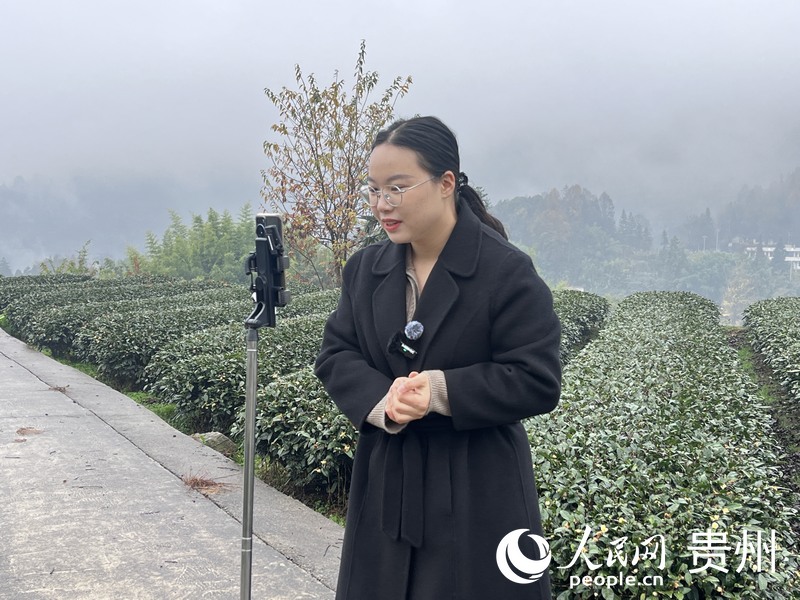 杜富佳直接將茶園變成直播間。人民網 陳潔泉攝