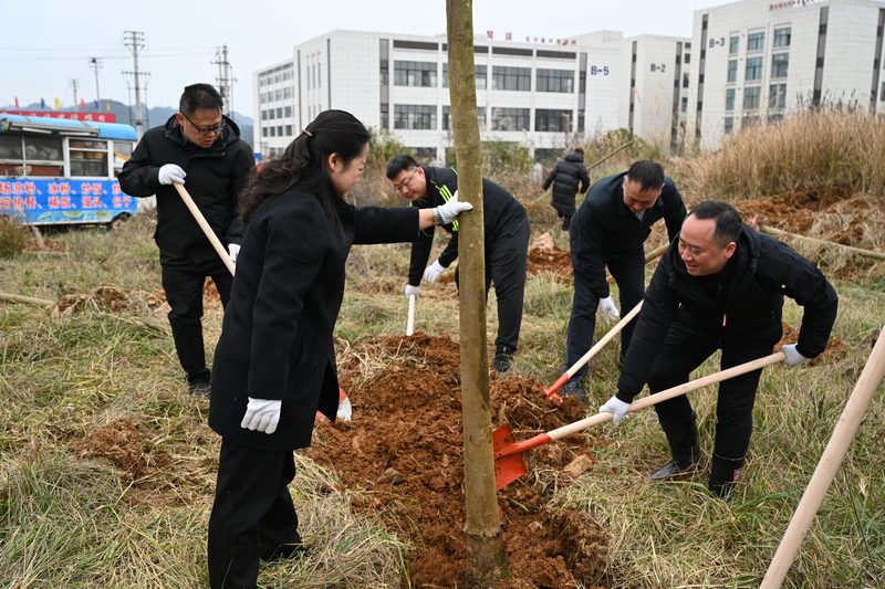 植樹活動正當時。