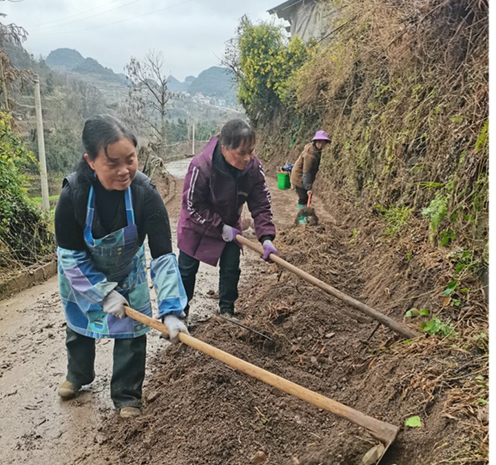圖為組織村保潔員、志愿者、群眾等開展基耕道兩旁清理。