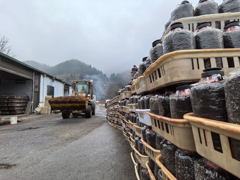 工人在搬運原材料。楊品益攝