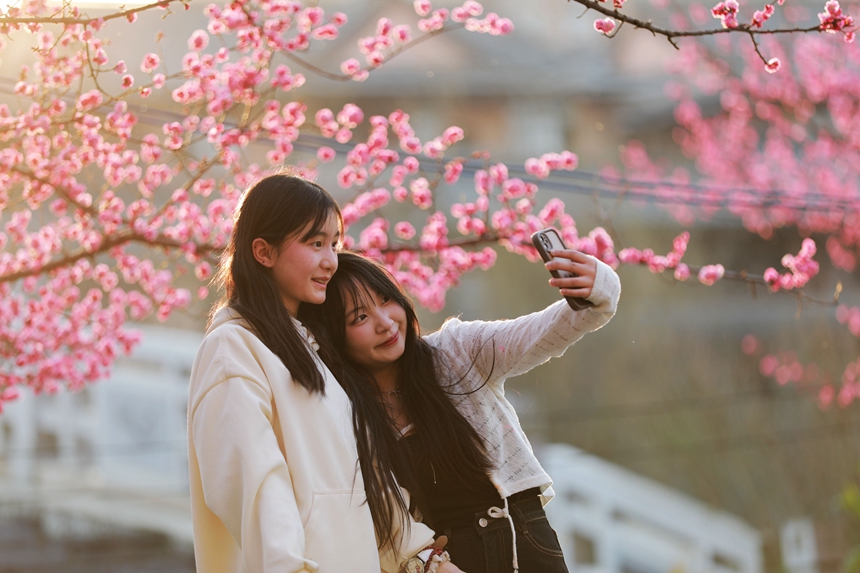 3月1日，貴州省黔西市西門外城郊的梅花迎春綻放，吸引游人紛紛前來觀花賞景、拍照打卡，樂享暖春時光。