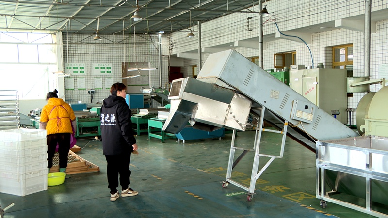 清理環境衛生。