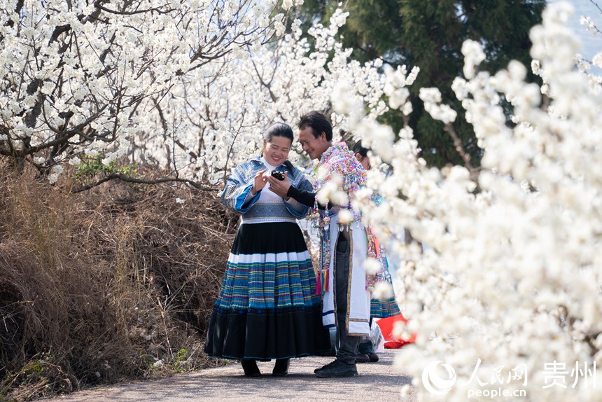 游客在櫻桃園內打卡拍照。人民網記者涂敏攝