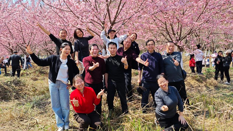 游客在櫻花樹下拍照打卡。