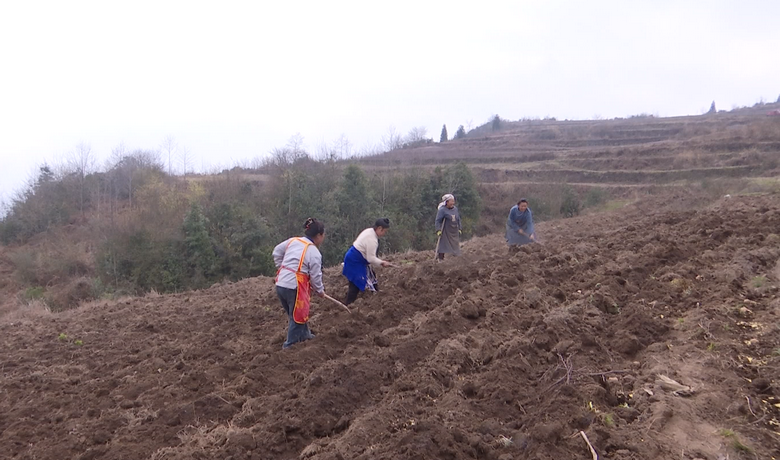 六盤水市鐘山區：農機“鬧”春耕 多元模式繪就“三農”新圖景