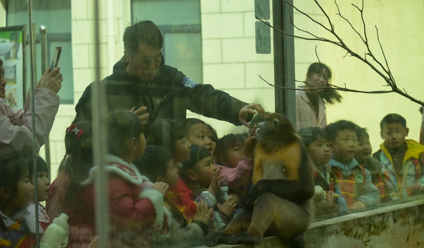 2025年3月19日，小朋友在貴州梵凈山國家級自然保護區黔金絲猴研究中心參加自然教育活動。