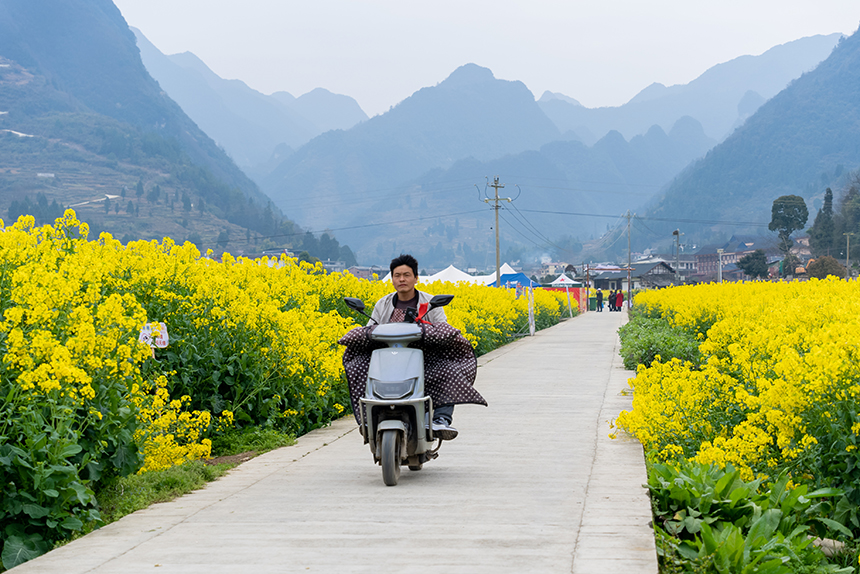 當地村民在油菜花田中穿行。人民網記者 涂敏攝