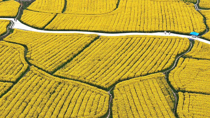 金海雪山景區。貴定縣人民政府網供圖