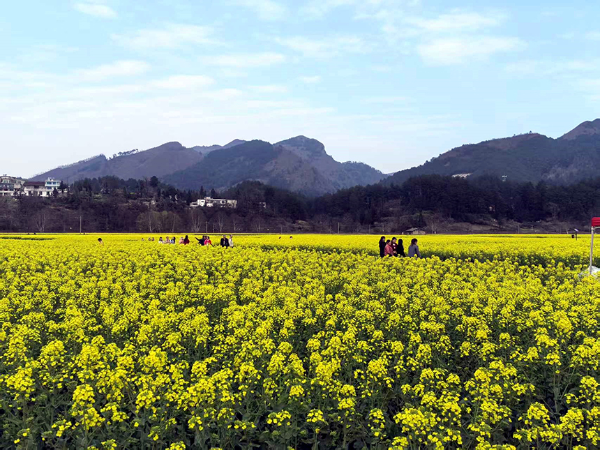 金海雪山景區。林曉攝