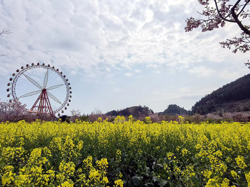金海雪山景區。林曉攝