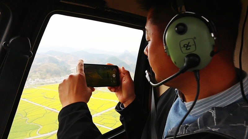 直升機看花海。