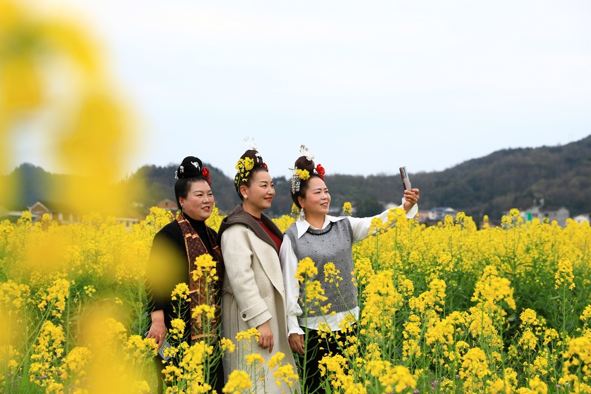 游客拍照打卡。楊家孟攝