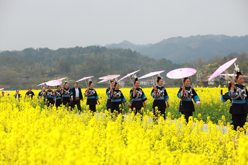 游客在油菜花田游玩。楊家孟攝