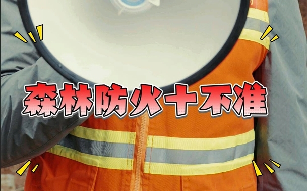 視頻封面圖。