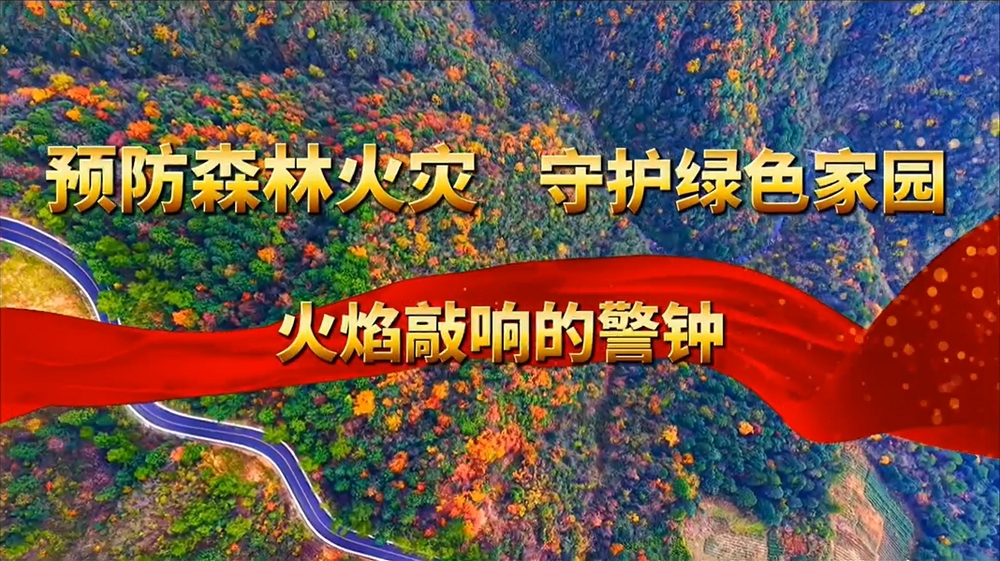 視頻封面圖。