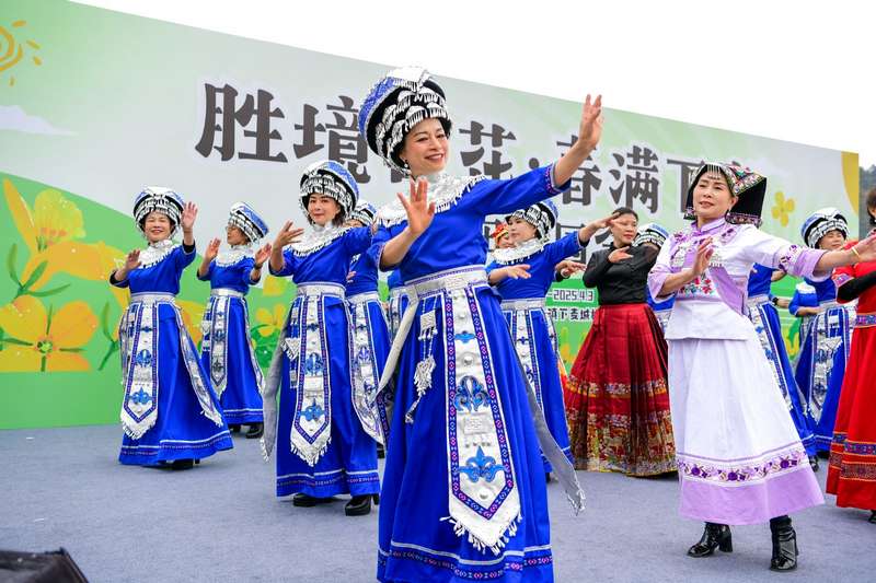 精彩紛呈的節目表演。