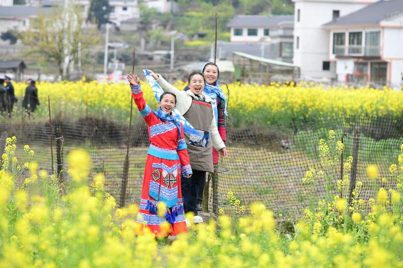 游客在花田中拍照打卡。