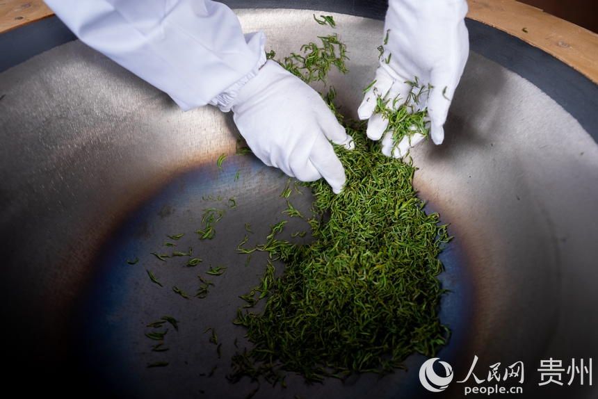 活動現場傳統制茶技藝展示。人民網記者 涂敏攝