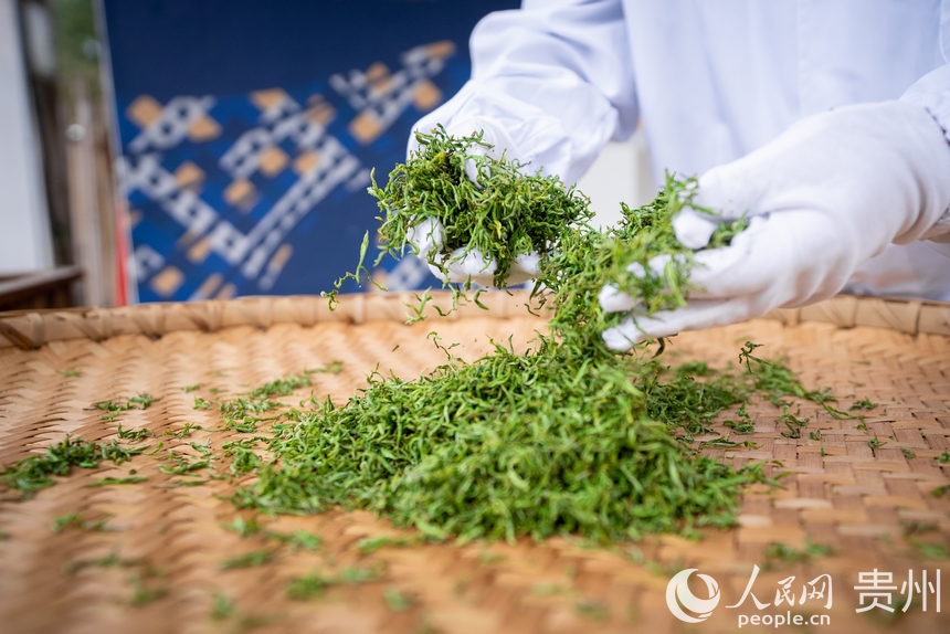 活動現場傳統制茶技藝展示。人民網記者 涂敏攝