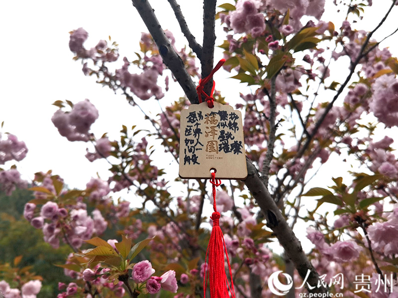 懸掛“生命寄語”木牌。人民網記者 王秀芳攝