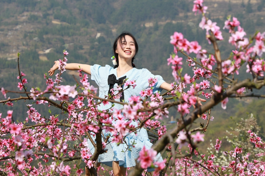 貴州省劍河縣岑松鎮塘腳村桃花種植基地，游客在賞桃花。楊家孟攝