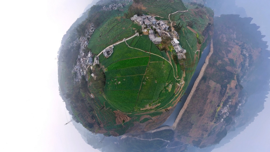 2025年4月9日，貴州省納雍縣百興鎮萬畝麥田全景航拍。