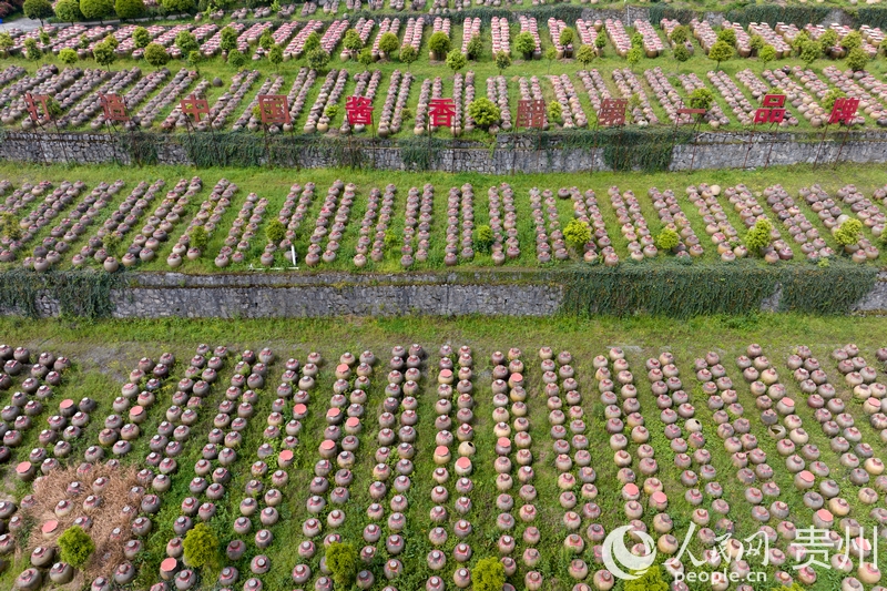航拍金沙縣泡木灣醬香醋業園醋胚露酵區。人民網記者 涂敏攝