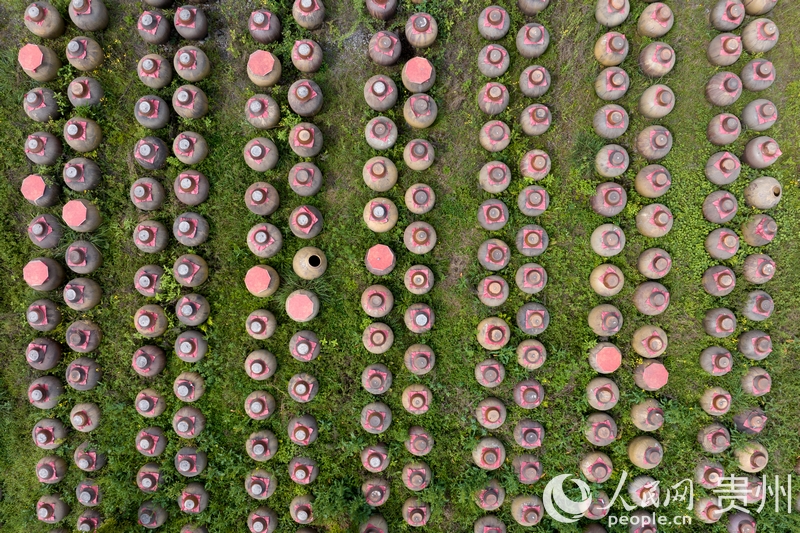 航拍金沙縣泡木灣醬香醋業園醋胚露酵區。人民網記者 涂敏攝