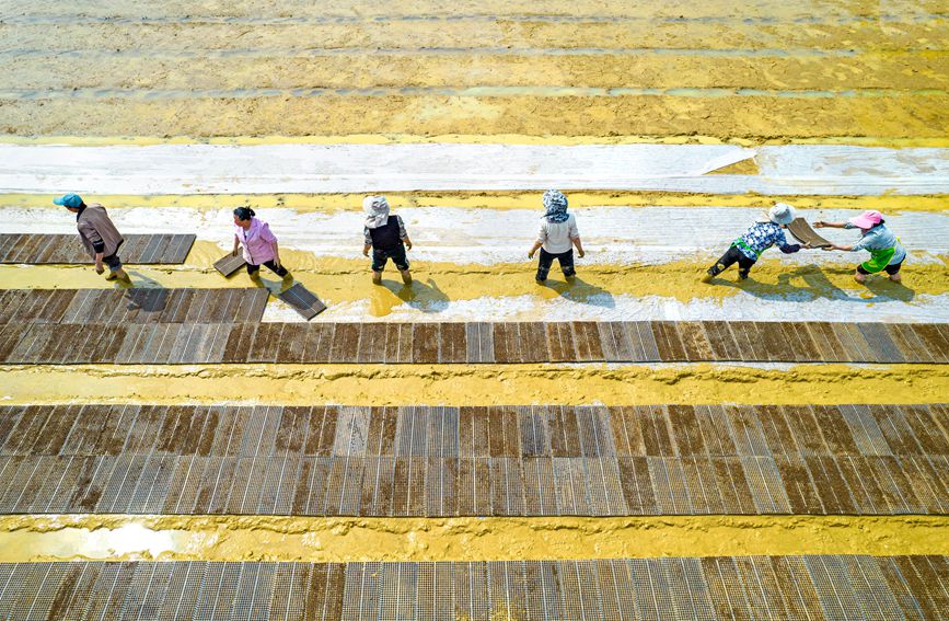 村民在貴州省黔西市杜鵑街道大興社區水稻育秧點放置育秧托盤。