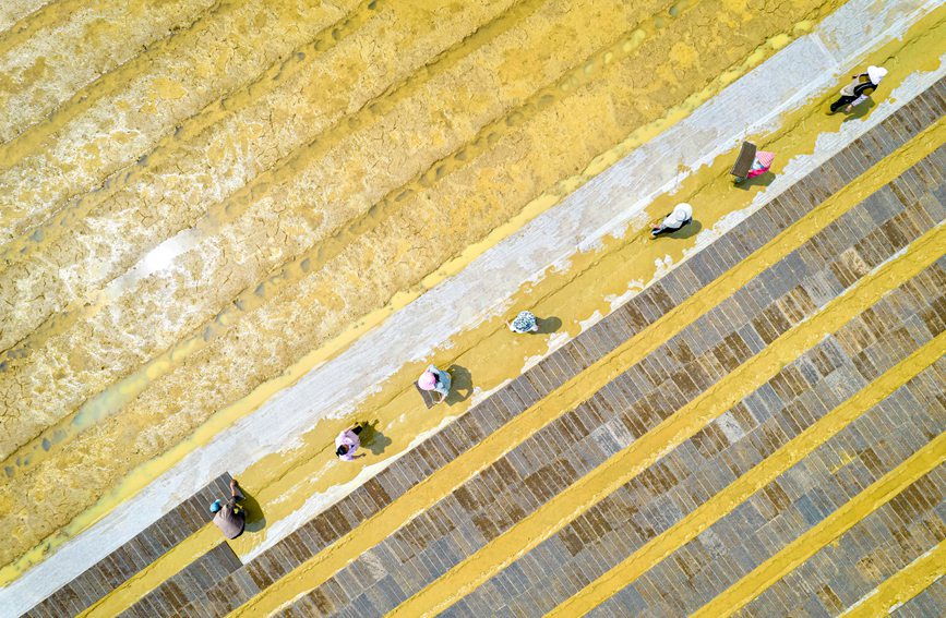 村民在貴州省黔西市杜鵑街道大興社區水稻育秧點放置育秧托盤。
