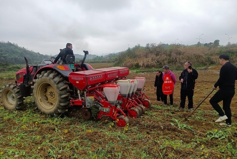 修文縣2025年推廣玉米大豆帶狀復合種植10000畝眼下正值播種的農忙季節，這兩天，修文縣各鄉（鎮、街道）正同步推進玉米大豆帶狀復合種植，進一步提高土地利用率，促進農業增產、增效、增收。
