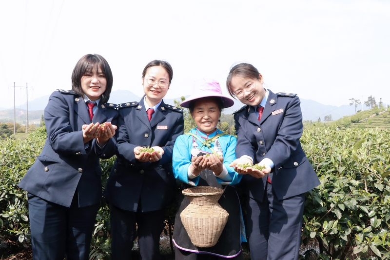 2025年稅收宣傳月期間，丹寨縣稅務局稅務干部到茶園走訪，向茶農了解采茶情況與收入情況。高慧攝