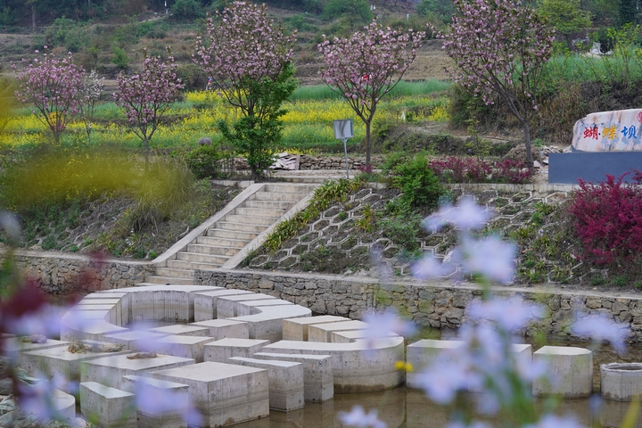 4 河道整治建成的“蝴蝶壩”.JPG